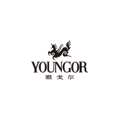 9-雅戈尔